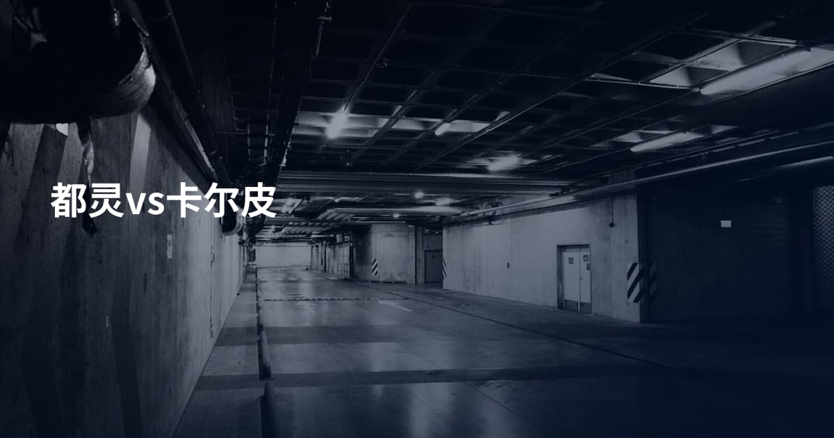 都灵vs卡尔皮