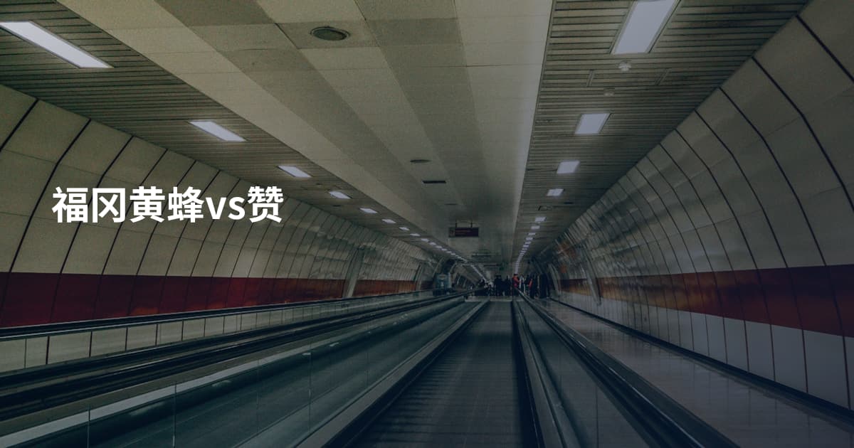 福冈黄蜂vs赞