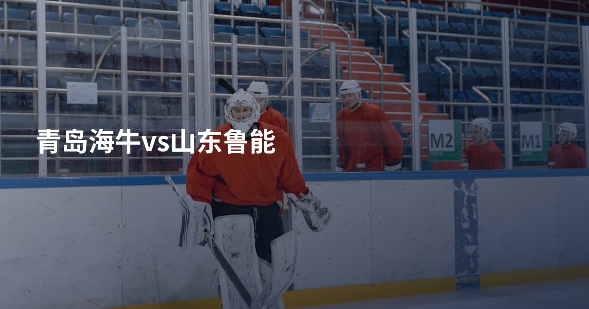 青岛海牛vs山东鲁能
