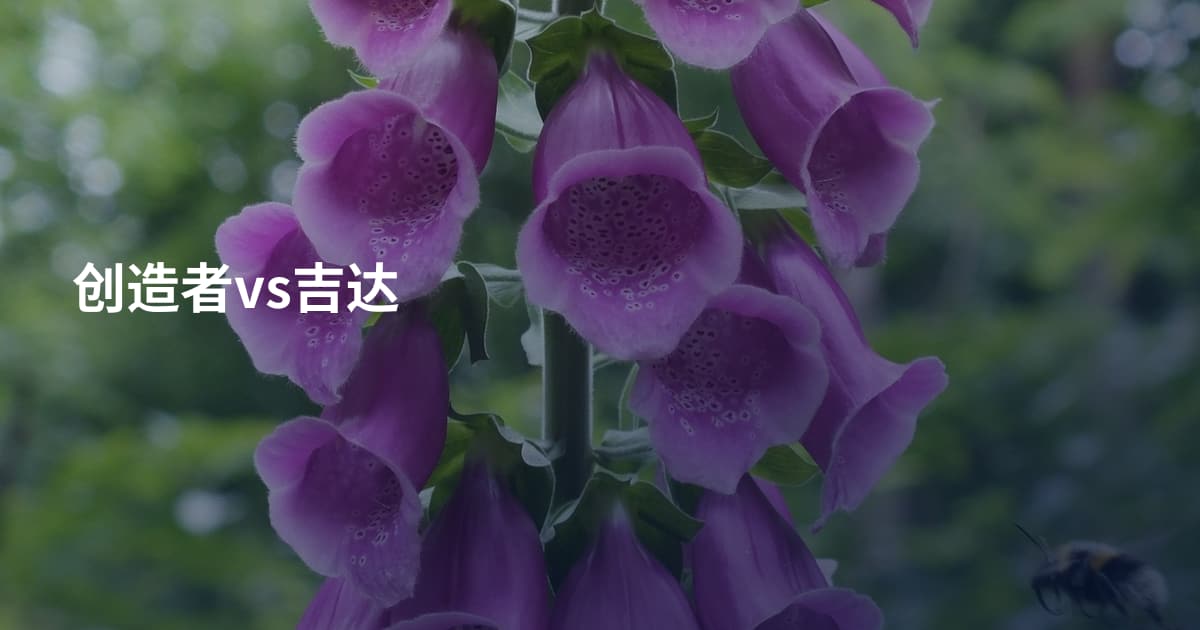 创造者vs吉达