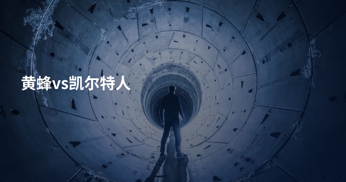 黄蜂vs凯尔特人
