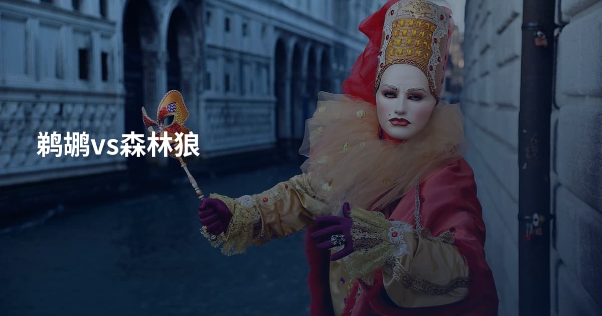 鹈鹕vs森林狼