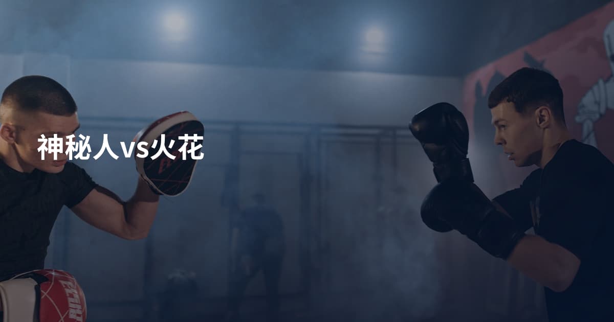 神秘人vs火花