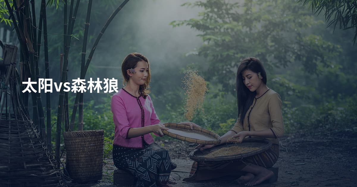 太阳vs森林狼