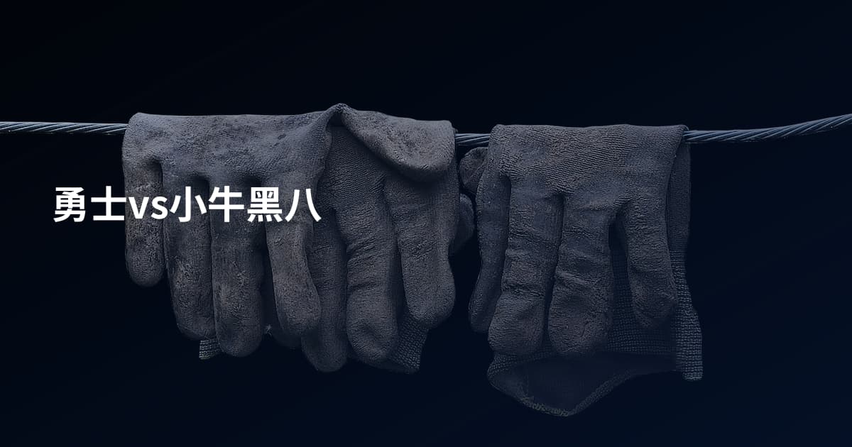 勇士vs小牛黑八