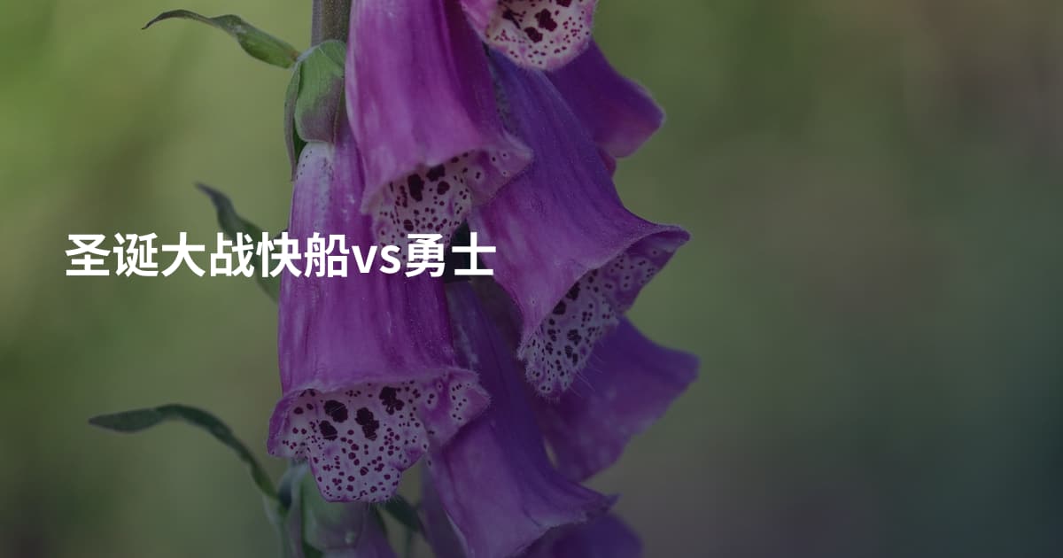 圣诞大战快船vs勇士