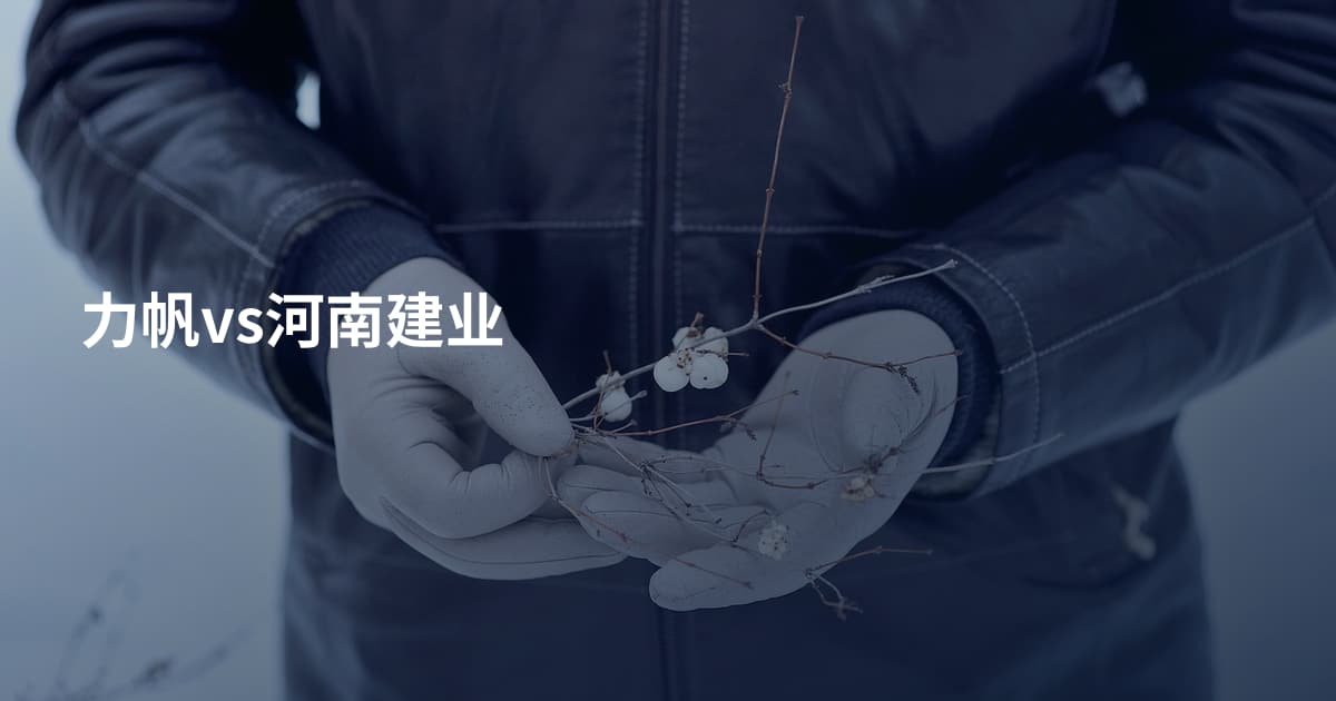 力帆vs河南建业
