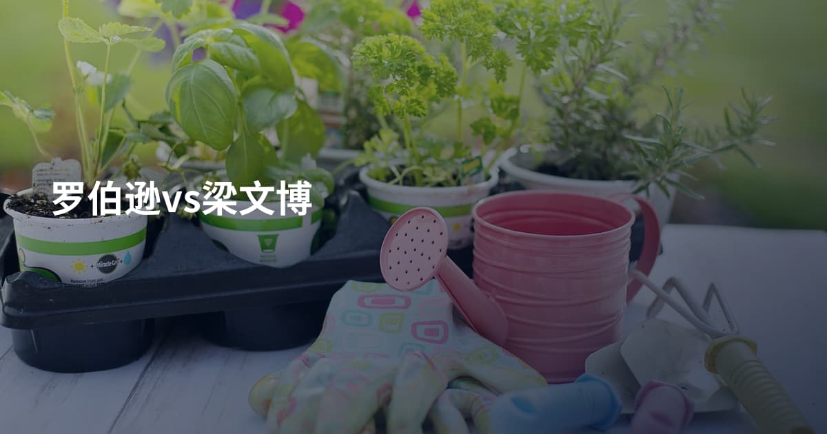 罗伯逊vs梁文博