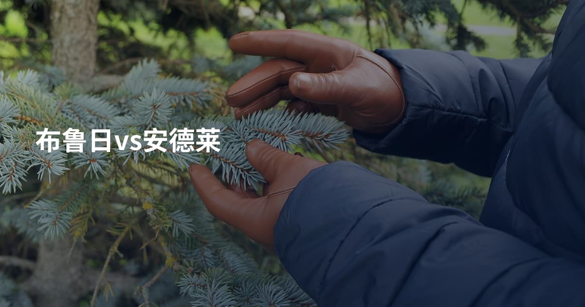布鲁日vs安德莱