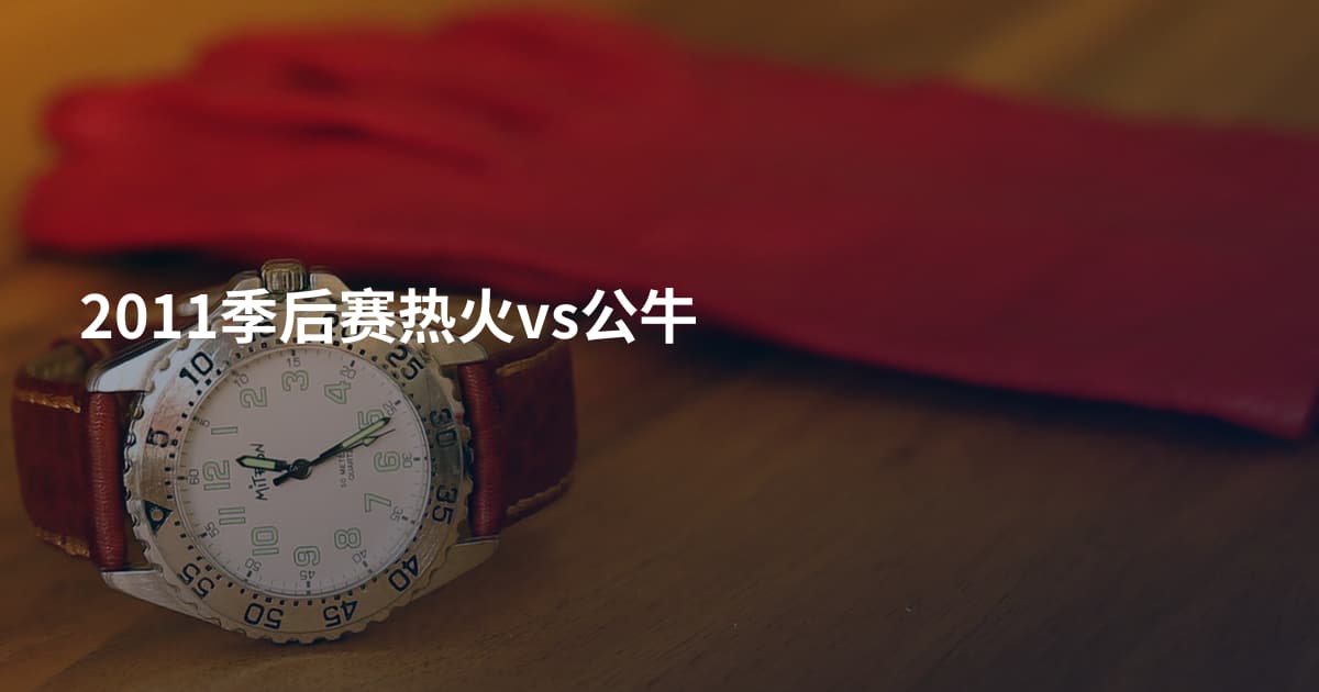 2011季后赛热火vs公牛