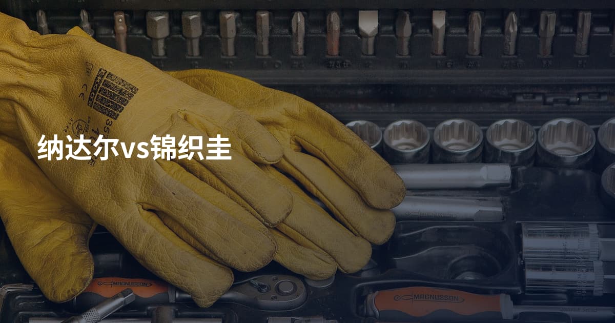 纳达尔vs锦织圭