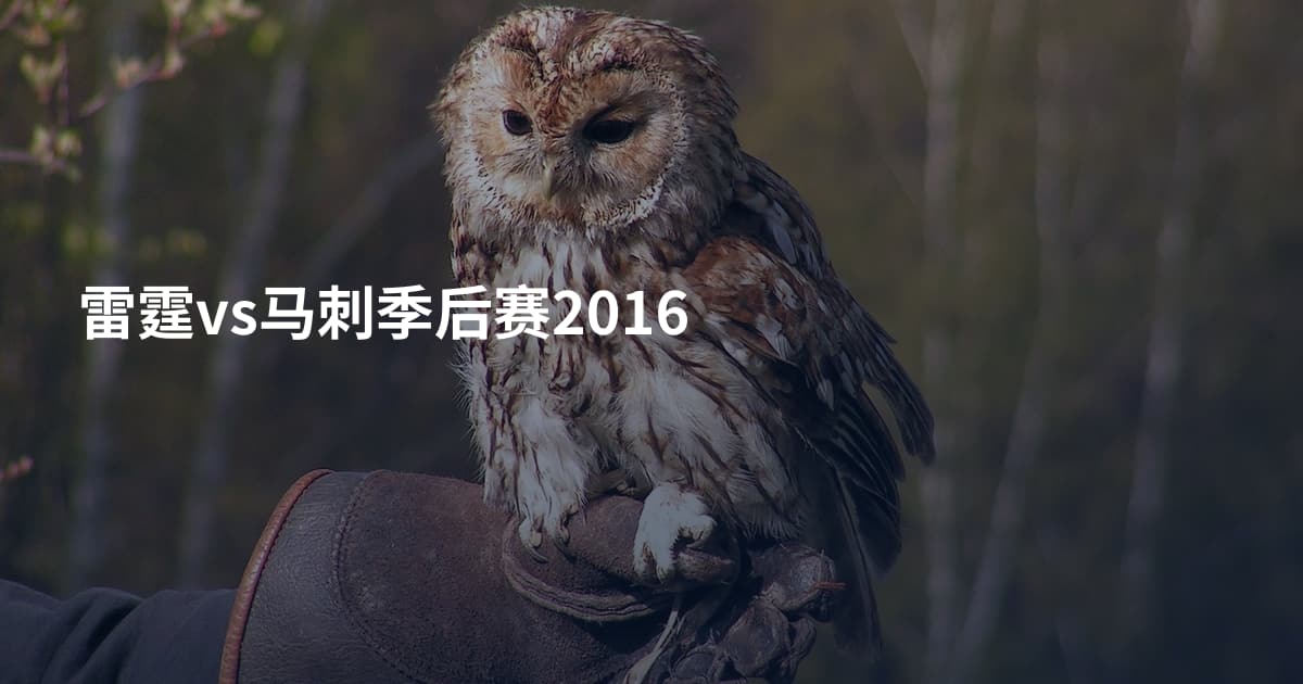 雷霆vs马刺季后赛2016