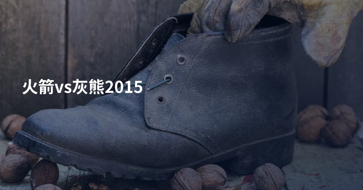 火箭vs灰熊2015
