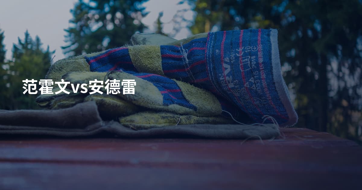 范霍文vs安德雷