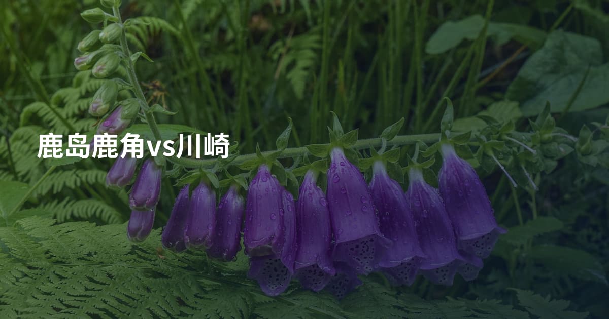 鹿岛鹿角vs川崎