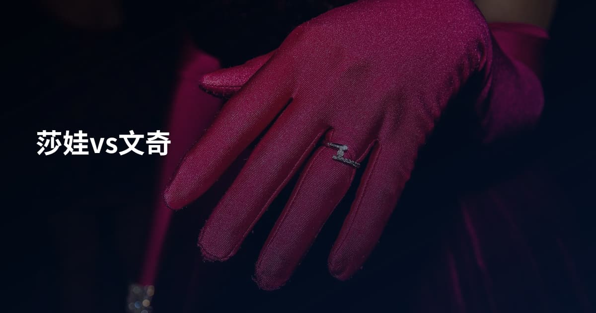 莎娃vs文奇