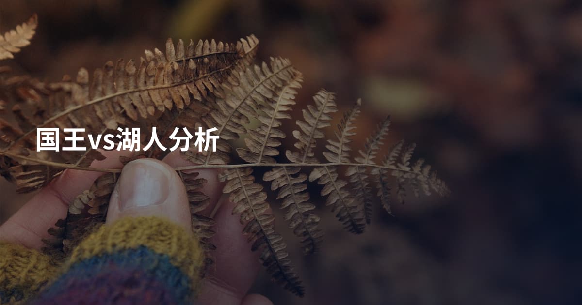 国王vs湖人分析