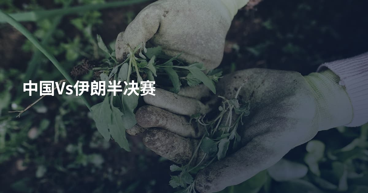 中国Vs伊朗半决赛