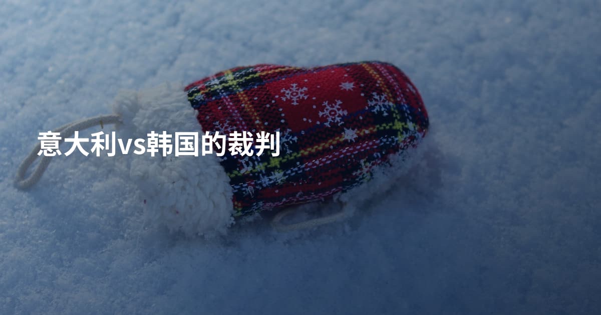 意大利vs韩国的裁判