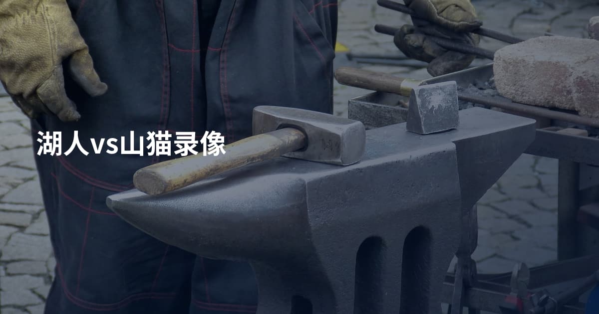 湖人vs山猫录像