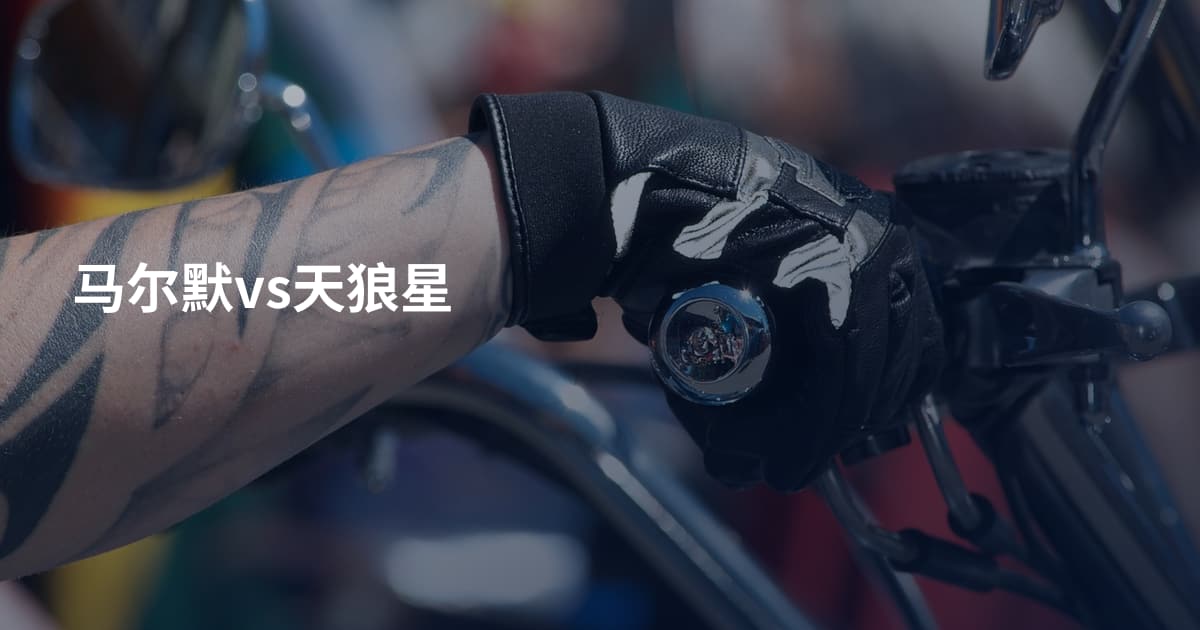 马尔默vs天狼星