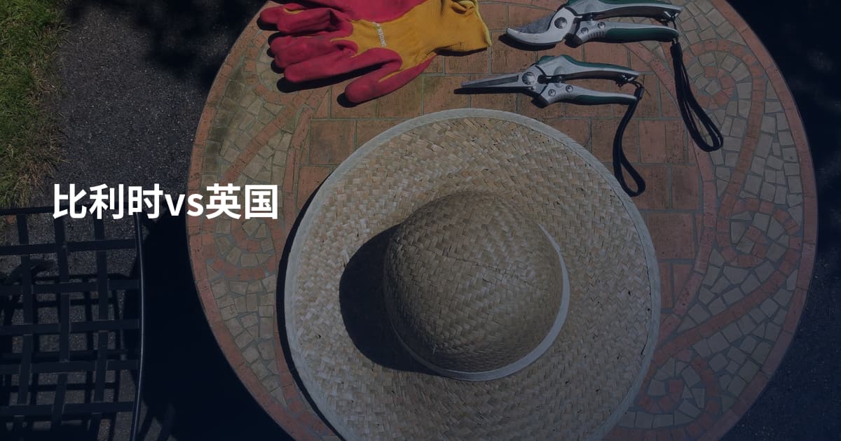 比利时vs英国