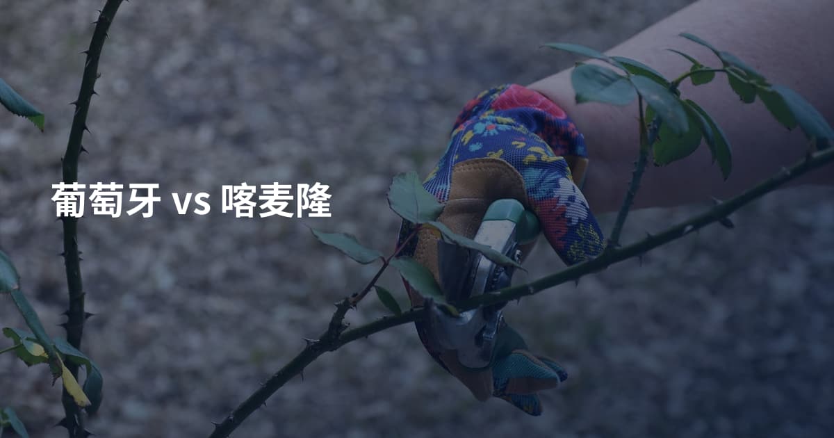 葡萄牙 vs 喀麦隆