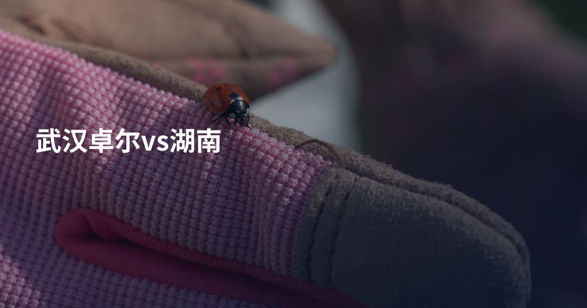 武汉卓尔vs湖南
