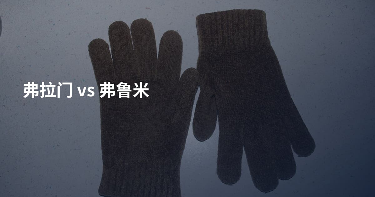 弗拉门 vs 弗鲁米
