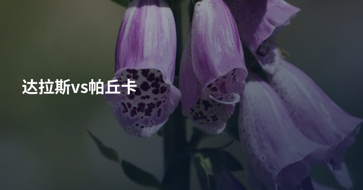达拉斯vs帕丘卡