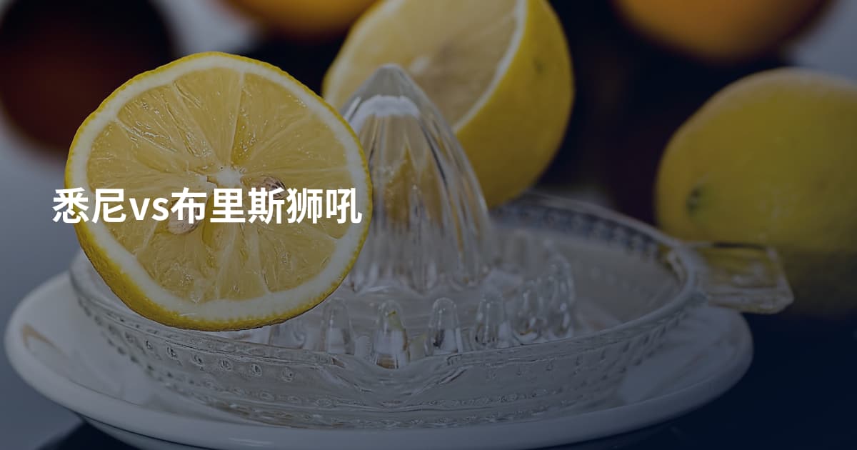 悉尼vs布里斯狮吼