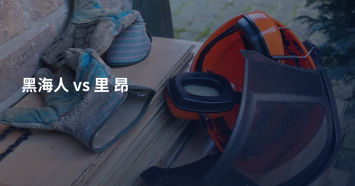 黑海人 vs 里 昂
