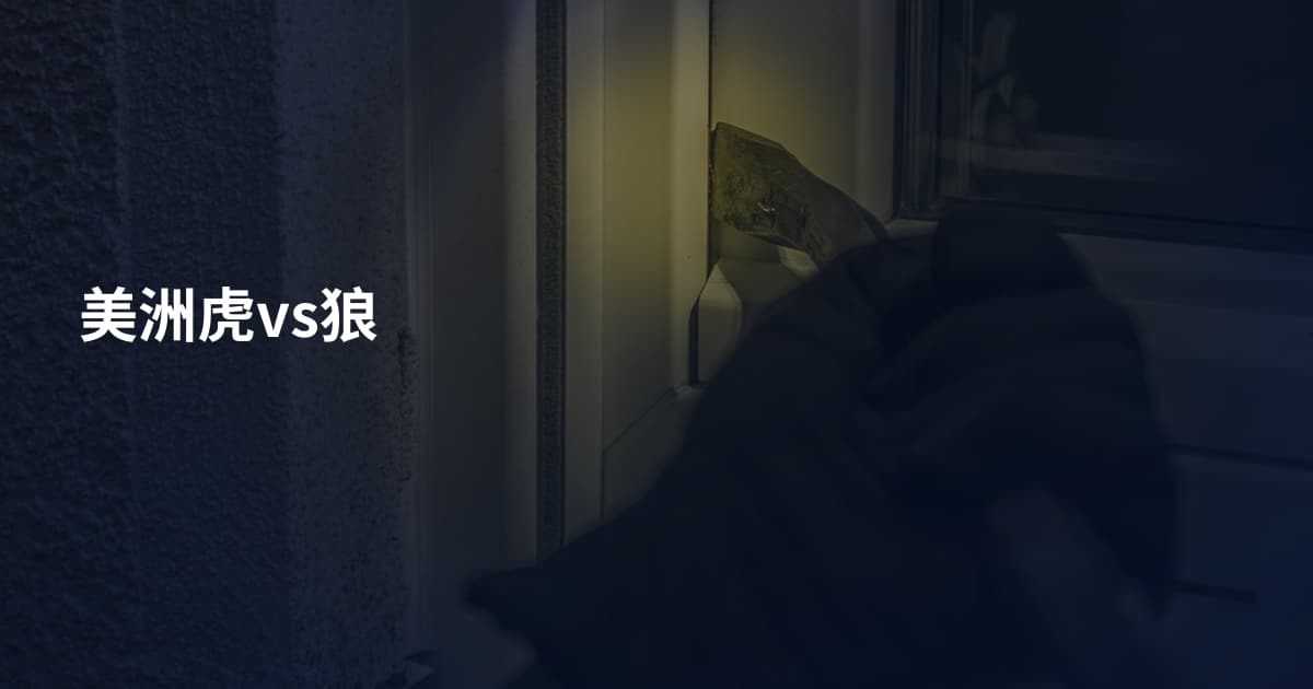 美洲虎vs狼
