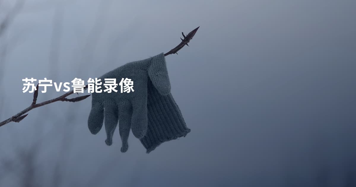 苏宁vs鲁能录像