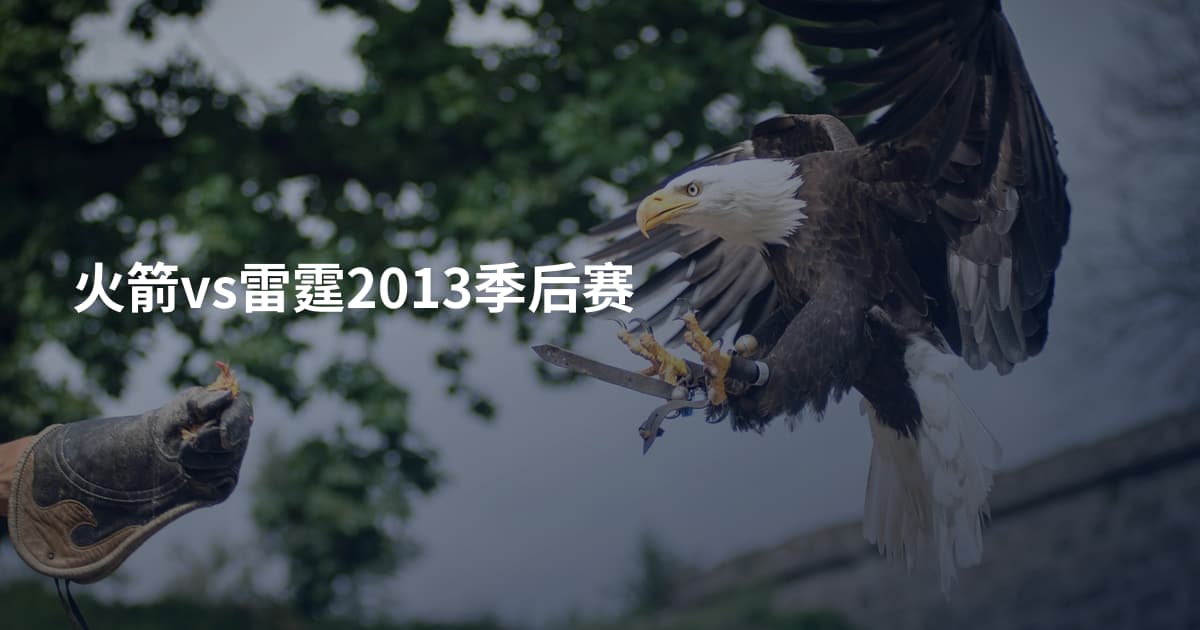 火箭vs雷霆2013季后赛