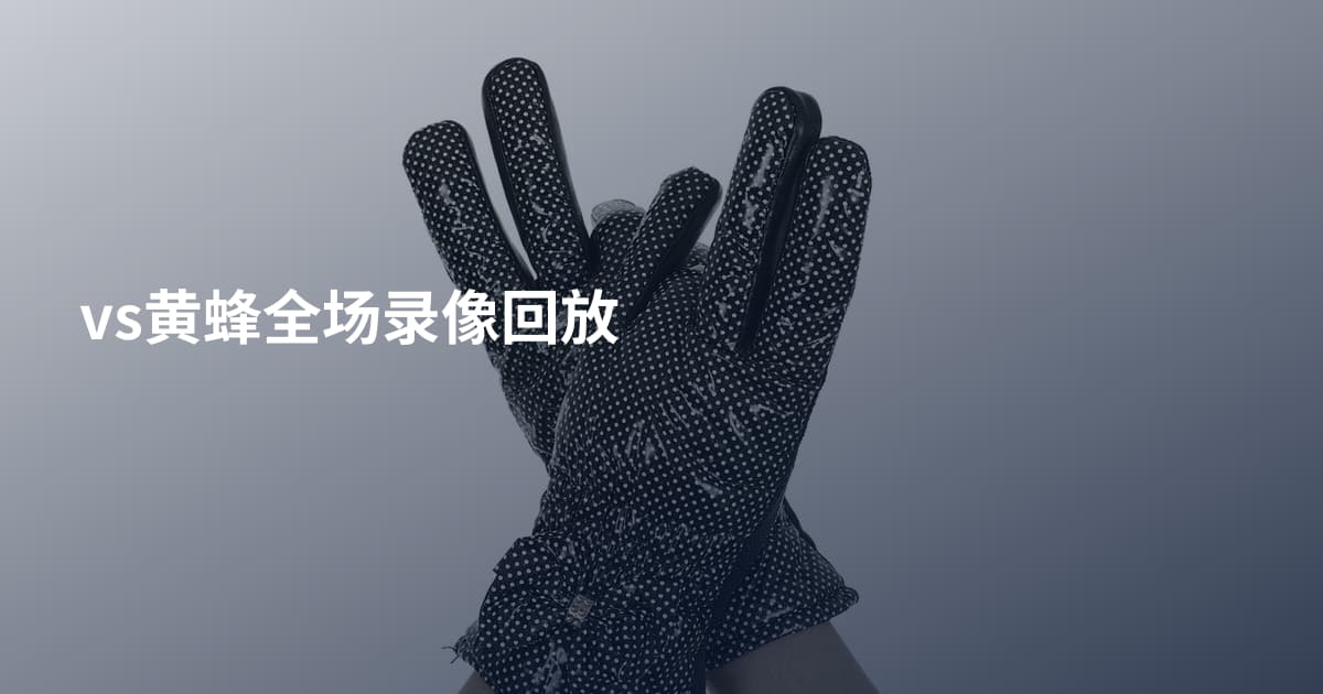vs黄蜂全场录像回放