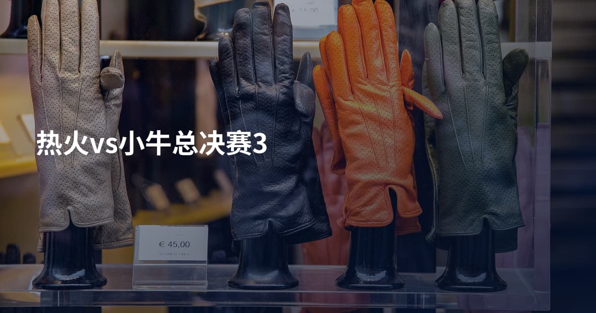 热火vs小牛总决赛3