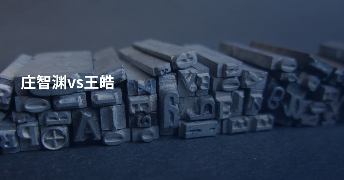 庄智渊vs王皓