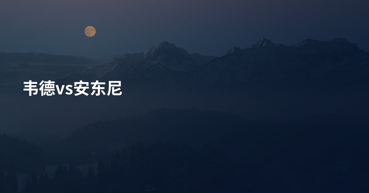 韦德vs安东尼