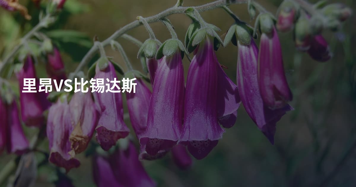 里昂VS比锡达斯
