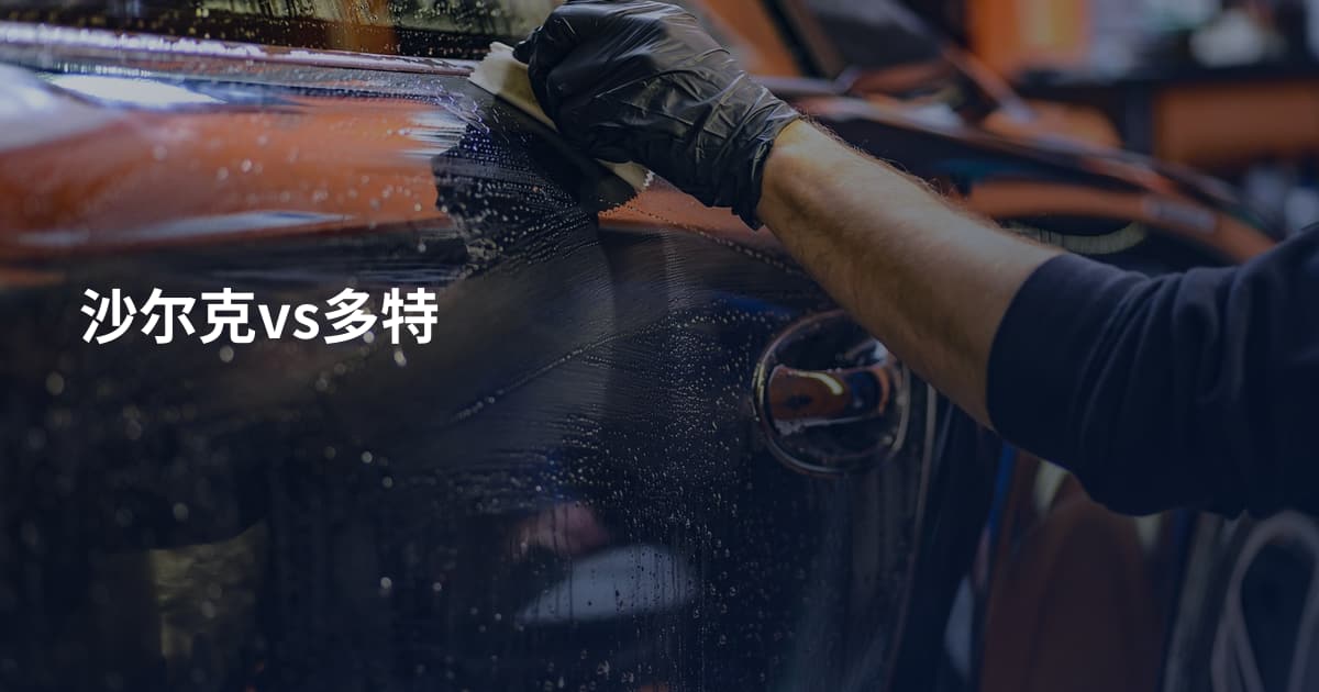 沙尔克vs多特