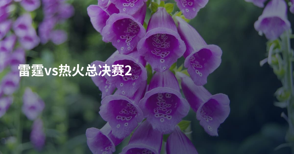雷霆vs热火总决赛2
