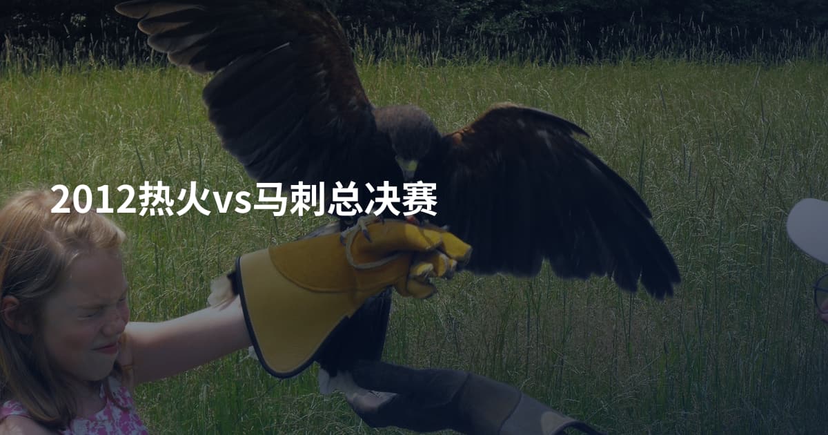 2012热火vs马刺总决赛