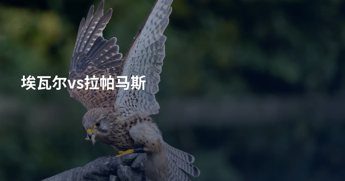 埃瓦尔vs拉帕马斯