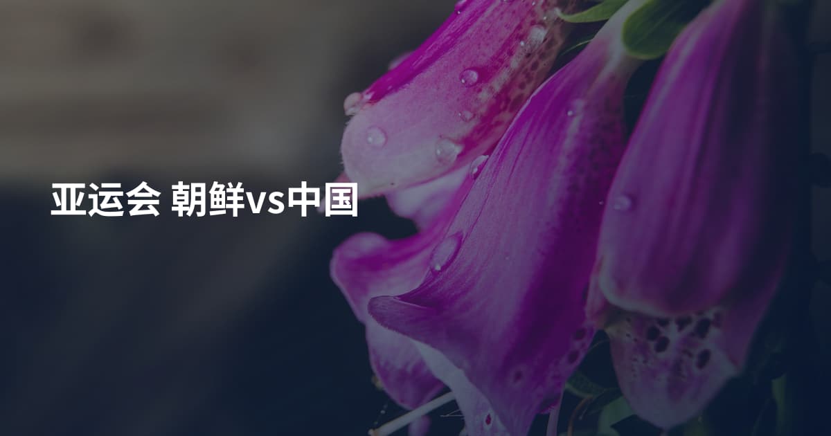 亚运会 朝鲜vs中国