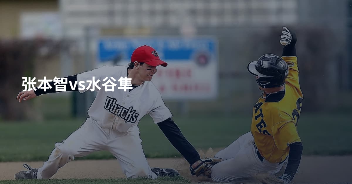 张本智vs水谷隼