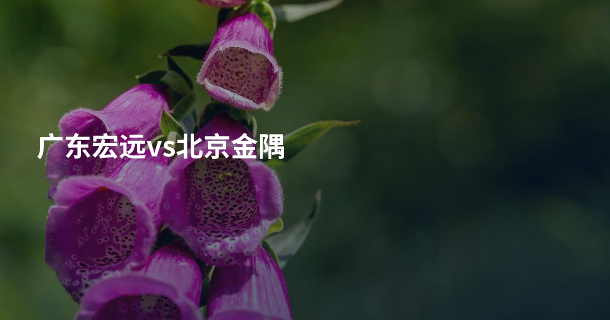 广东宏远vs北京金隅