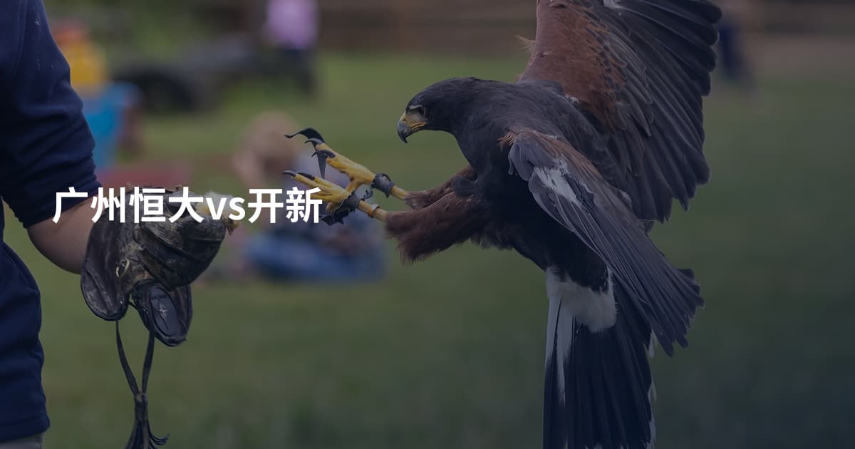广州恒大vs开新