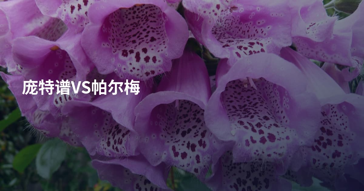 庞特谱VS帕尔梅