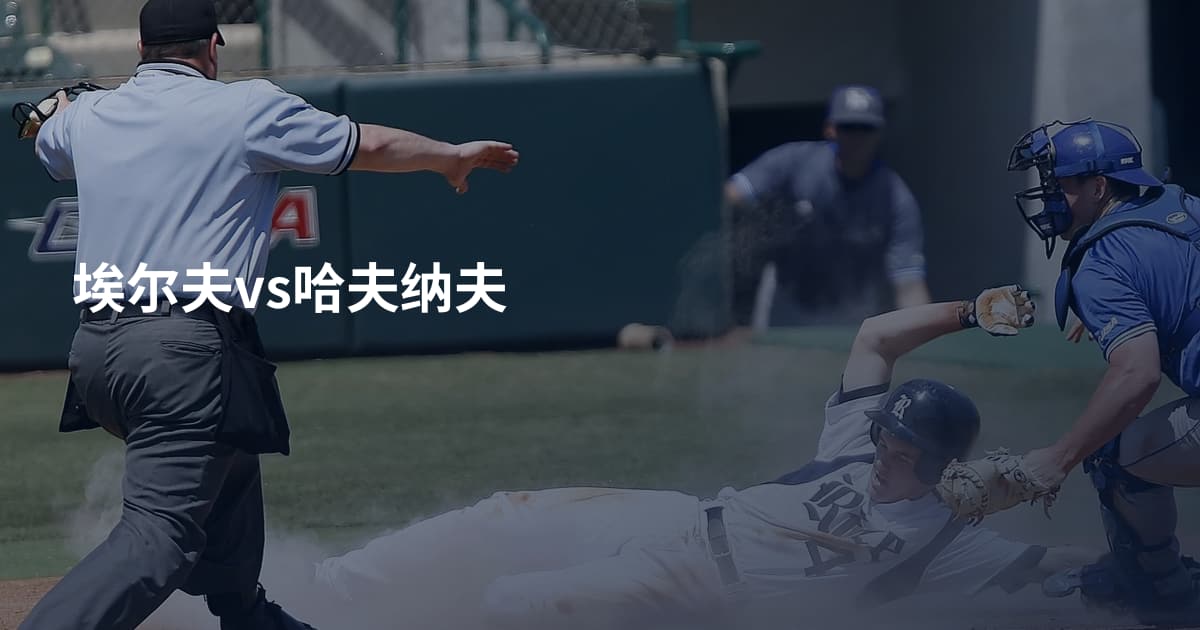 埃尔夫vs哈夫纳夫
